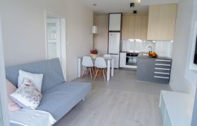 N140 56-2Salon6